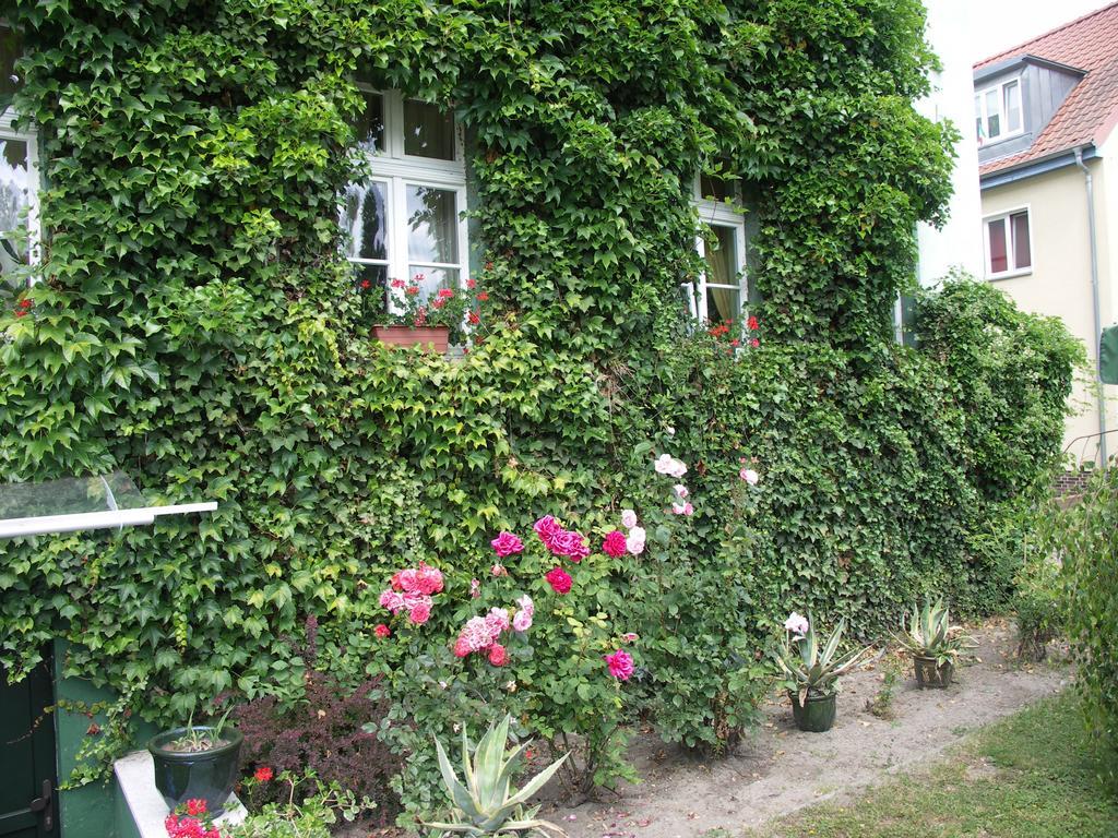 3 Sterne Hotel Frankfurt-Oder Zur Alten Oder Frankfurt  Eksteriør bilde