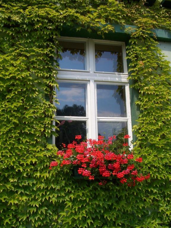 3 Sterne Hotel Frankfurt-Oder Zur Alten Oder Frankfurt  Eksteriør bilde